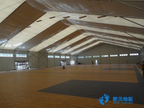 體育專用運(yùn)動木地板