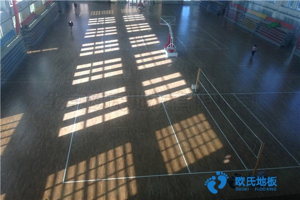 運(yùn)動體育地板生產(chǎn)廠家