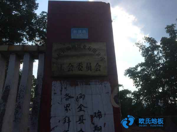 運(yùn)動場館木地板價(jià)格便宜